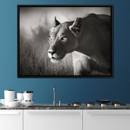 Lioness - NicheCanvas