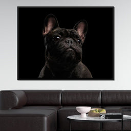 Black French Bulldog - NicheCanvas