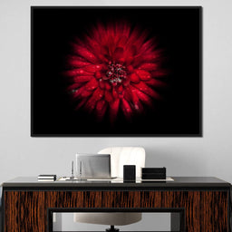 Backyard Flowers 45 - Brian Carson - NicheCanvas