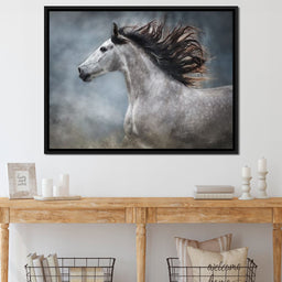 andalusian horse - NicheCanvas