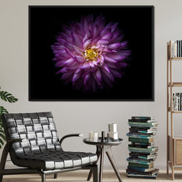 Backyard Flowers Series 1 - Brian Carson - NicheCanvas