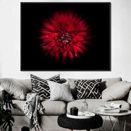 Backyard Flowers 45 - Brian Carson - NicheCanvas