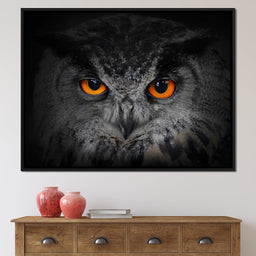 Black & White Owl with Orange Eyes - NicheCanvas