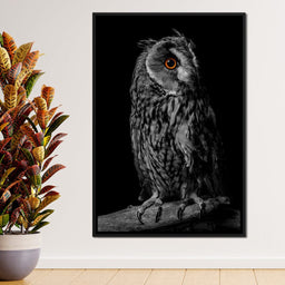 Black & White Owl - NicheCanvas