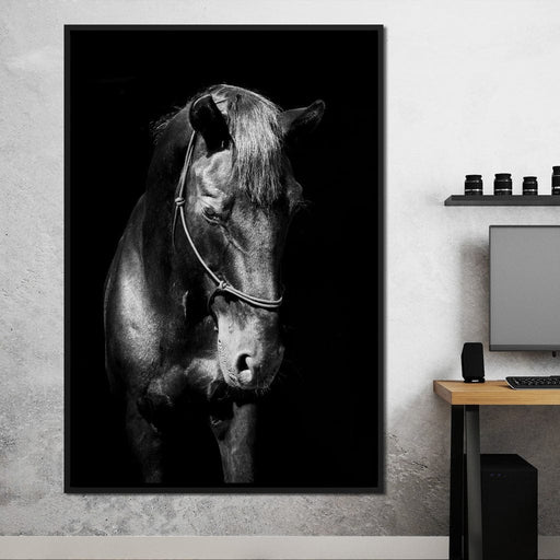 Black & White Horse Head Canvas Print