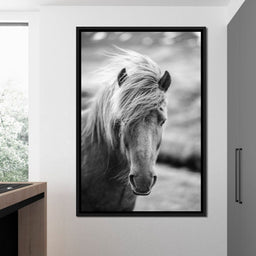 Icelandic Horse - NicheCanvas