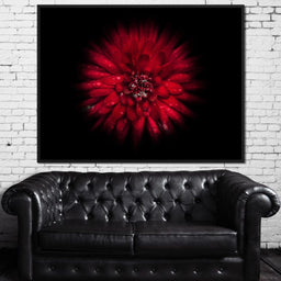 Backyard Flowers 45 - Brian Carson - NicheCanvas