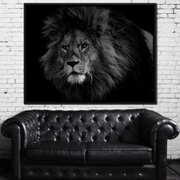 Majestic - Johanjjf - NicheCanvas