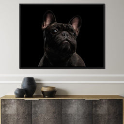 Black French Bulldog - NicheCanvas