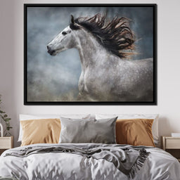 andalusian horse - NicheCanvas