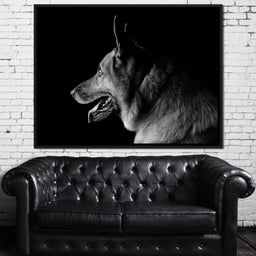 Black and White German Shepherd - NicheCanvas