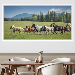 Horses of all Colors Running in a Pasture - Terrie Gray - NicheCanvas