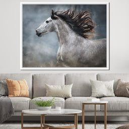 andalusian horse - NicheCanvas