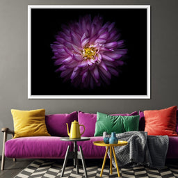 Backyard Flowers Series 1 - Brian Carson - NicheCanvas