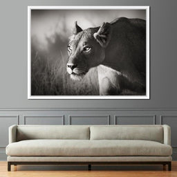 Lioness - NicheCanvas