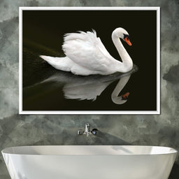 Swan - Ben Heine - NicheCanvas