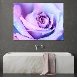 Winter Rose - NicheCanvas