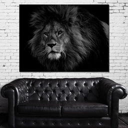 Majestic - Johanjjf - NicheCanvas