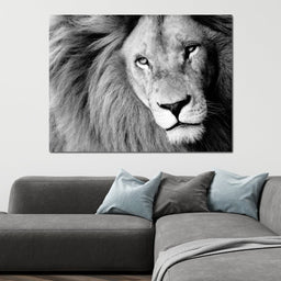 Lion Portrait - NicheCanvas