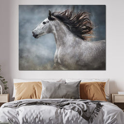 andalusian horse - NicheCanvas