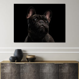 Black French Bulldog - NicheCanvas