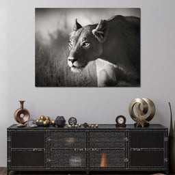 Lioness - NicheCanvas