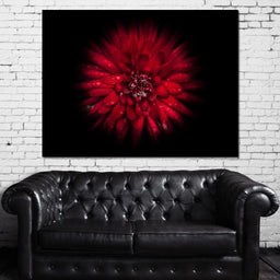 Backyard Flowers 45 - Brian Carson - NicheCanvas