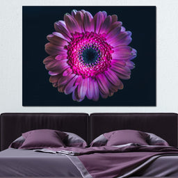 Purple Petals - NicheCanvas