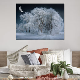 Winter Snow Forest - Johanjjf - NicheCanvas