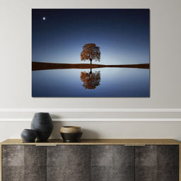 Tree Reflection - NicheCanvas