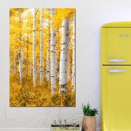 Yellow Forest - Colorado - Lucas Moore - NicheCanvas