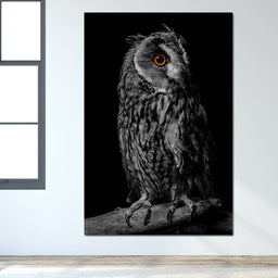 Black & White Owl - NicheCanvas