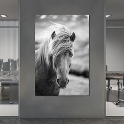 Icelandic Horse - NicheCanvas
