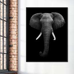 Black and White Elephant Face - NicheCanvas