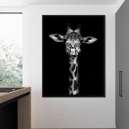 Black and White Giraffe - NicheCanvas