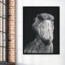 Black and White Shoebill Stork - NicheCanvas