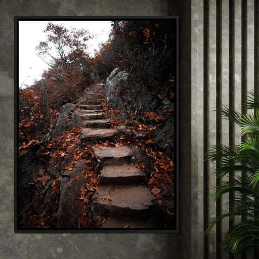 Autumn Path - Lucas Moore Canvas Print