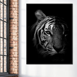 Black and White Fading Tiger - NicheCanvas
