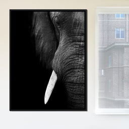 Black and White Elephant Close up - NicheCanvas