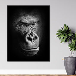 Black and White Gorilla - NicheCanvas
