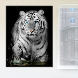Blue Eyed Snow Tiger - NicheCanvas