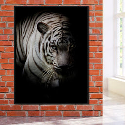 Black and White Tiger - NicheCanvas