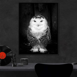 Black and White Snowy Owl - NicheCanvas