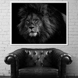 Majestic - Johanjjf - NicheCanvas