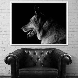 Black and White German Shepherd - NicheCanvas