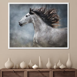 andalusian horse - NicheCanvas
