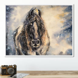 Black Horse in Winter - NicheCanvas