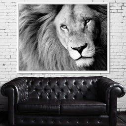 Lion Portrait - NicheCanvas