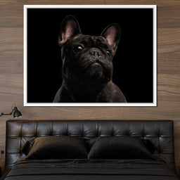 Black French Bulldog - NicheCanvas