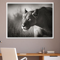 Lioness - NicheCanvas